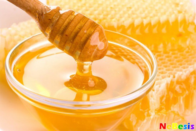Лечение гайморита медом в домашних условиях