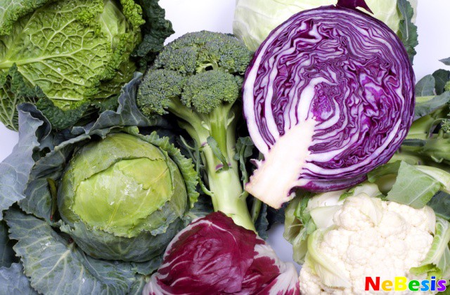 Broccoli, radicchio, cauliflower and other sorts of cabbage