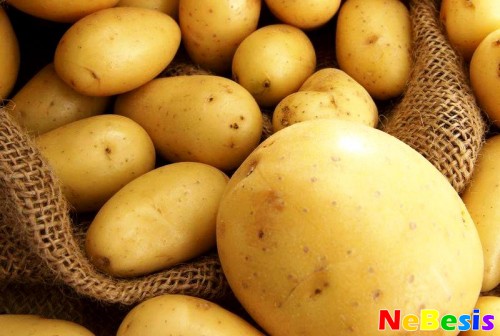 картофельная диета для похудения