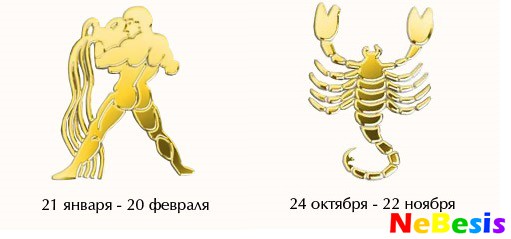 vodolei-skorpion
