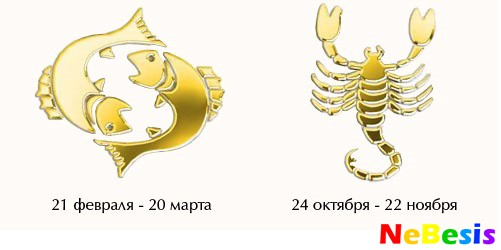 ribi-skorpion
