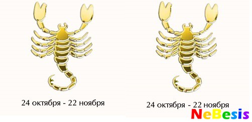 skorpion-skorpion