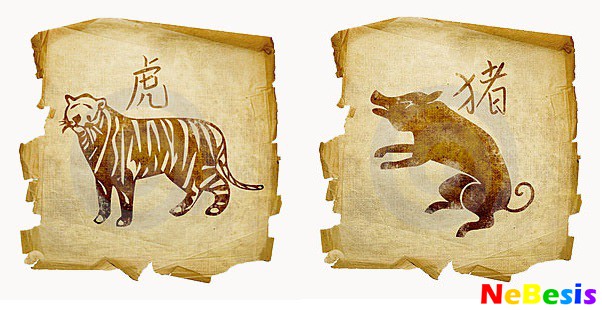 Тигр-мужчина и Свинья-женщина