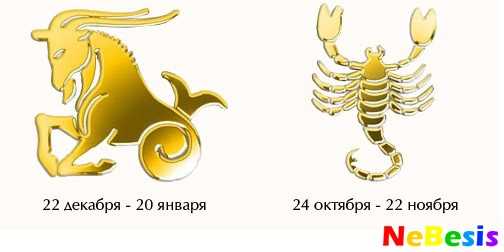 Скорпион-мужчина и Козерог-женщина